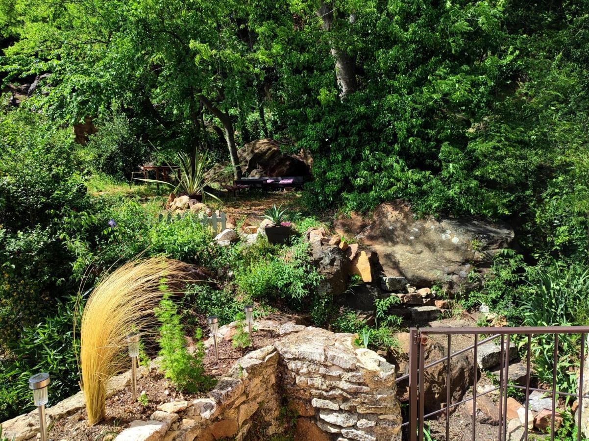 Un Pied Dans La Foret La Capelle-et-Masmolene 外观 照片